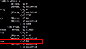 linux多线程执行顺序