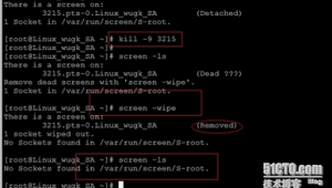linux终端执行命令