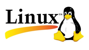 适合个人用的linux