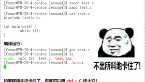 在linux命令行中,可以使用什么键来自动补齐命令